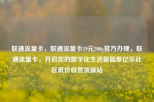 联通流量卡，联通流量卡19元200g官方办理	，联通流量卡，开启您的数字化生活新篇章亿乐社区低价自营货源站  第1张