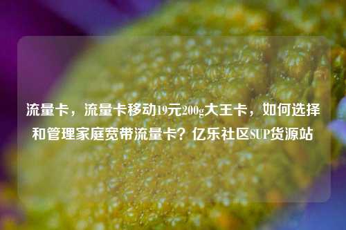 流量卡，流量卡移动19元200g大王卡	，如何选择和管理家庭宽带流量卡？亿乐社区SUP货源站  第1张