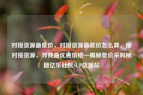对接货源最低价，对接货源最低价怎么算，接对接货源	，寻找最优惠价格—揭秘低价采购秘籍亿乐社区SUP货源站  第1张
