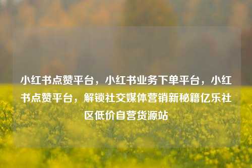小红书点赞平台，小红书业务下单平台，小红书点赞平台	，解锁社交媒体营销新秘籍亿乐社区低价自营货源站  第1张