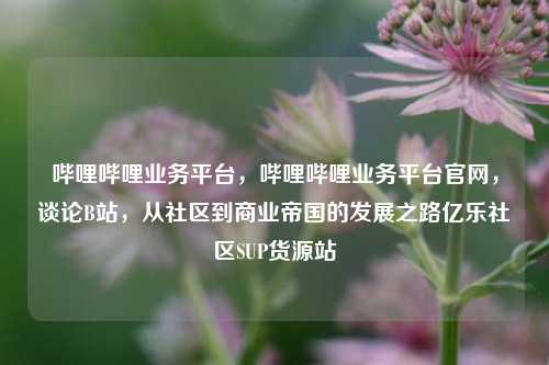 哔哩哔哩业务平台	，哔哩哔哩业务平台官网，谈论B站，从社区到商业帝国的发展之路亿乐社区SUP货源站  第1张