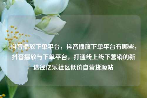 抖音播放下单平台	，抖音播放下单平台有哪些，抖音播放与下单平台，打通线上线下营销的新途径亿乐社区低价自营货源站  第1张
