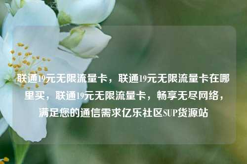 联通19元无限流量卡，联通19元无限流量卡在哪里买	，联通19元无限流量卡，畅享无尽网络，满足您的通信需求亿乐社区SUP货源站  第1张