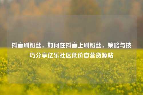 抖音刷粉丝	，如何在抖音上刷粉丝，策略与技巧分享亿乐社区低价自营货源站  第1张