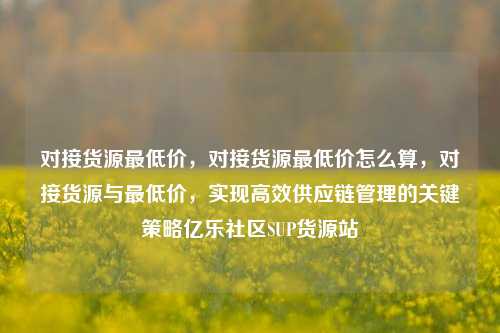 对接货源最低价	，对接货源最低价怎么算，对接货源与最低价，实现高效供应链管理的关键策略亿乐社区SUP货源站  第1张